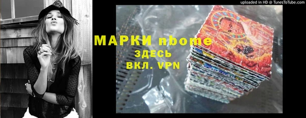 шишки Белоозёрский
