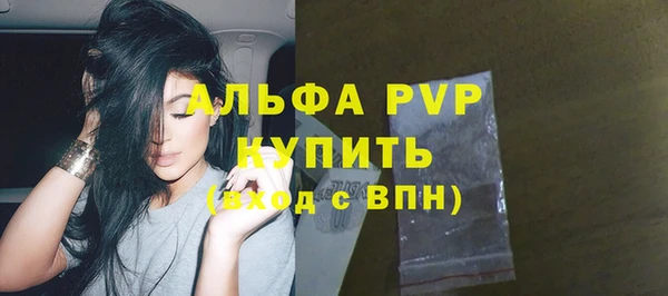 шишки Белоозёрский