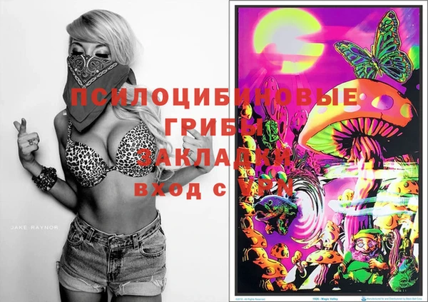 тгк Беломорск