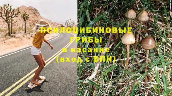 шишки Белоозёрский