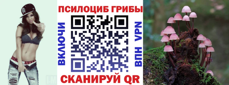 Псилоцибиновые грибы Magic Shrooms  Бородино 