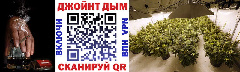 Бошки Шишки VHQ  Бородино 